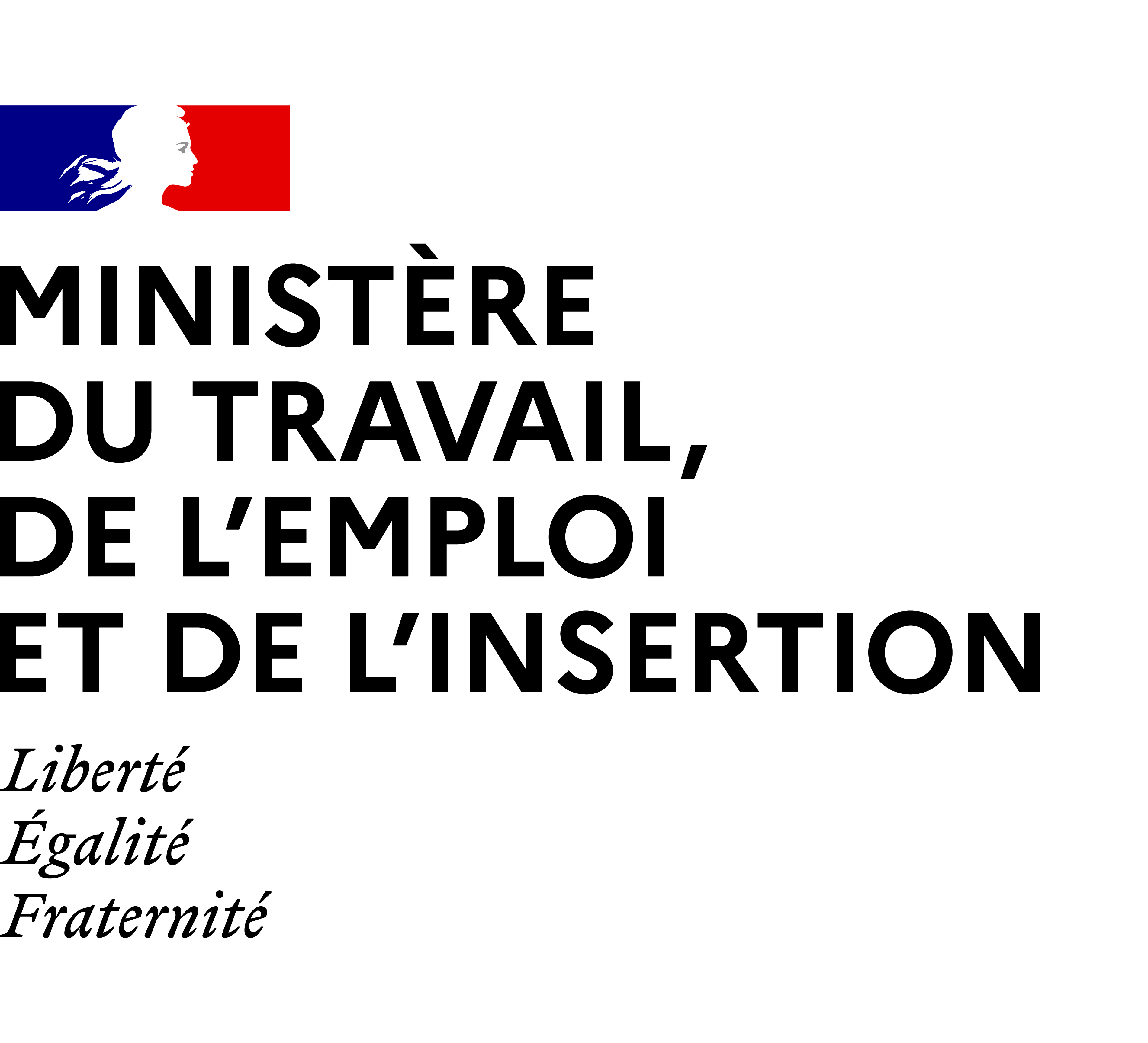 Logo ministère du travail et de l'insertion